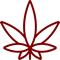 Marijuana