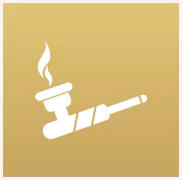Methamphetamine Icon